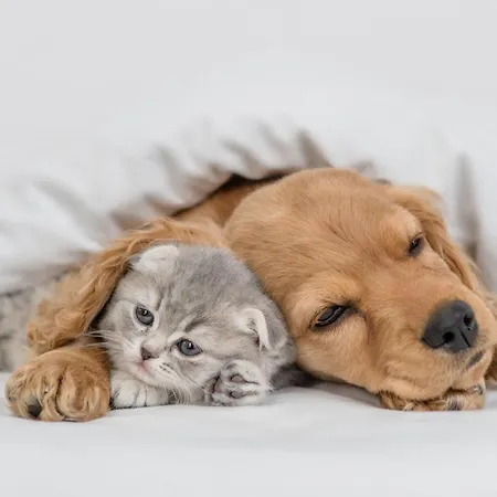 Pestana Sol - Premium Golf Hotel 5*